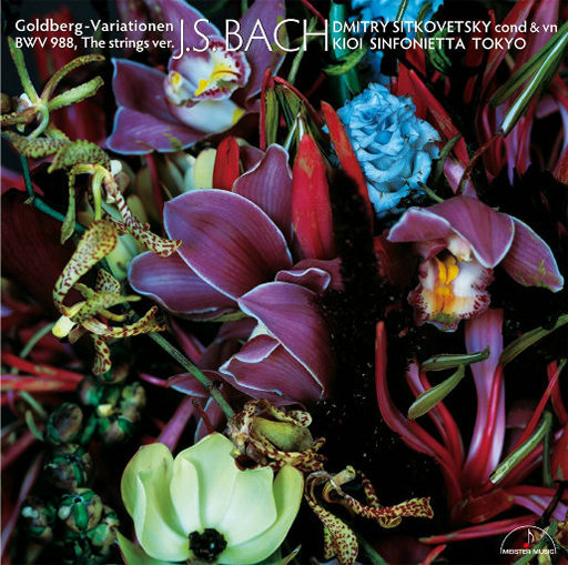 女人尿尿做爱视频
